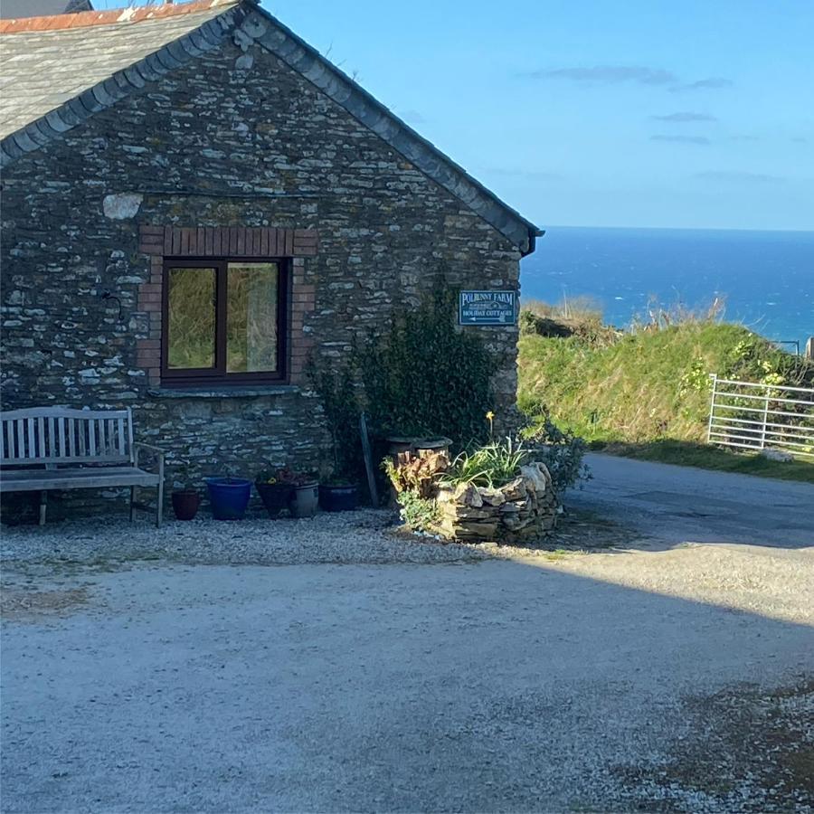 Polrunny Farm Sloe Cottage With A Sea View Боскасл Экстерьер фото