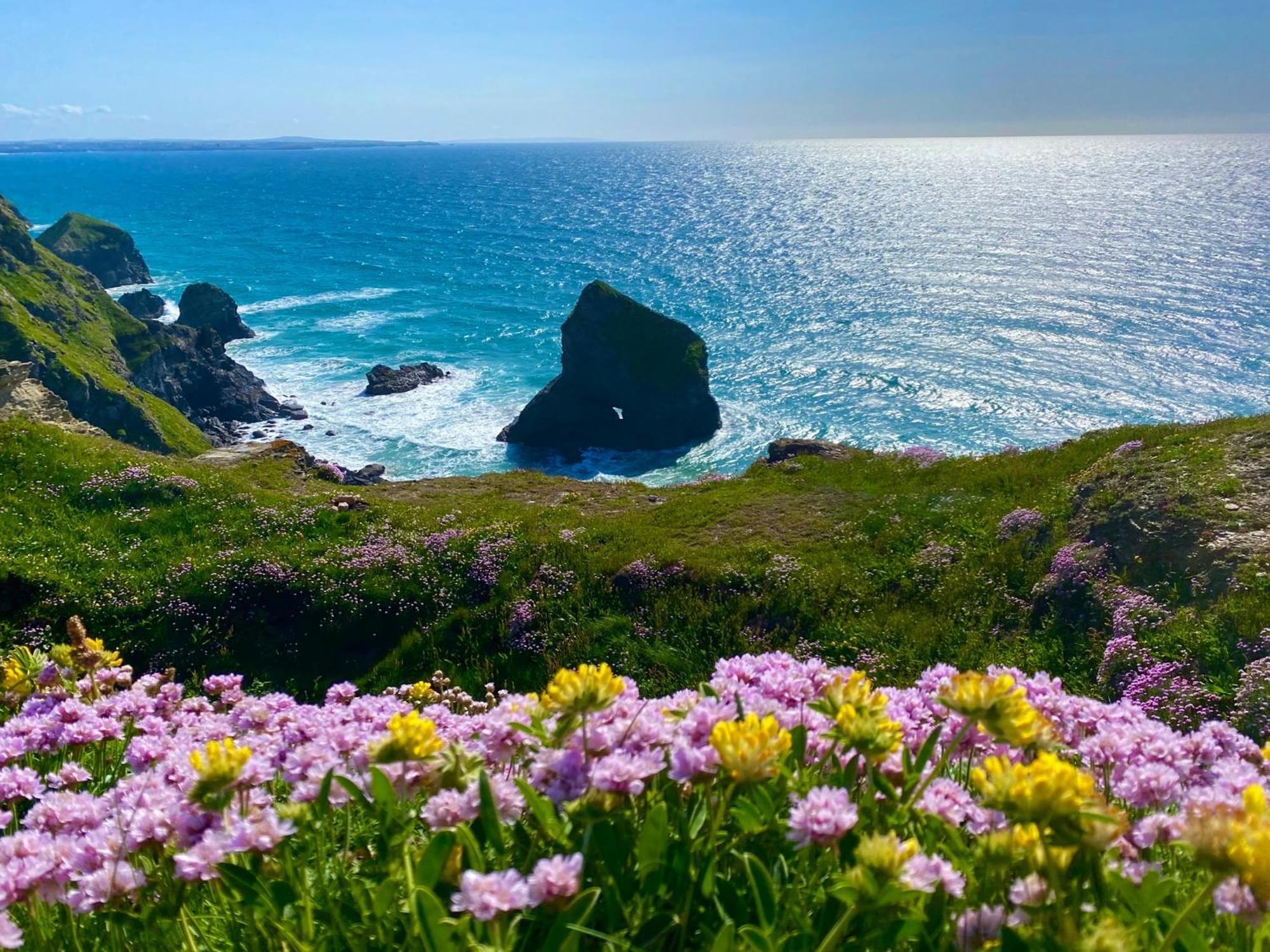 Polrunny Farm Sloe Cottage With A Sea View Боскасл Экстерьер фото